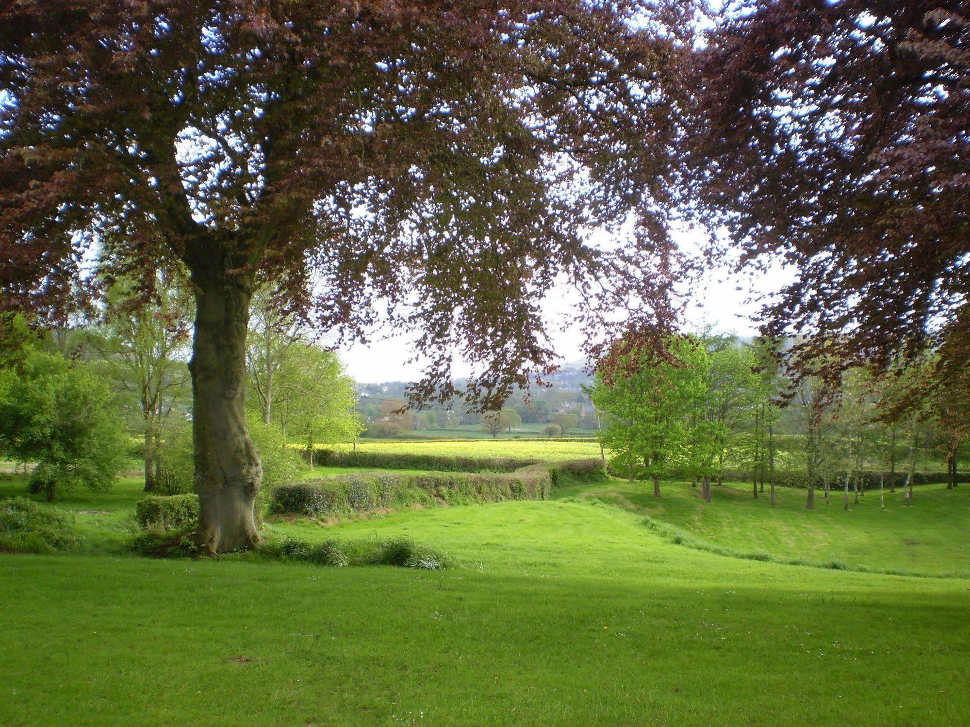 Buckley Farmhouse B & B Sidmouth Eksteriør bilde
