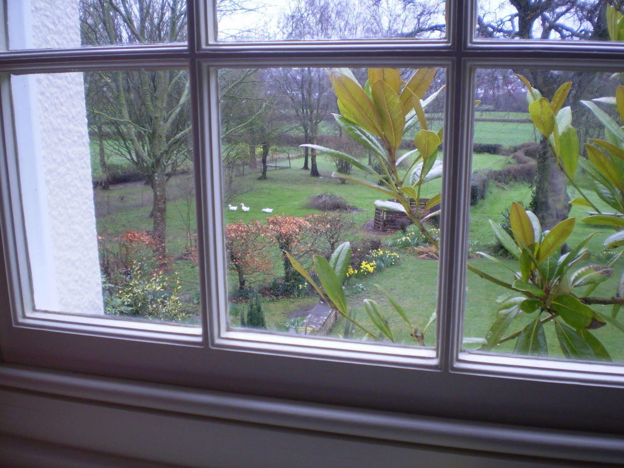 Buckley Farmhouse B & B Sidmouth Eksteriør bilde