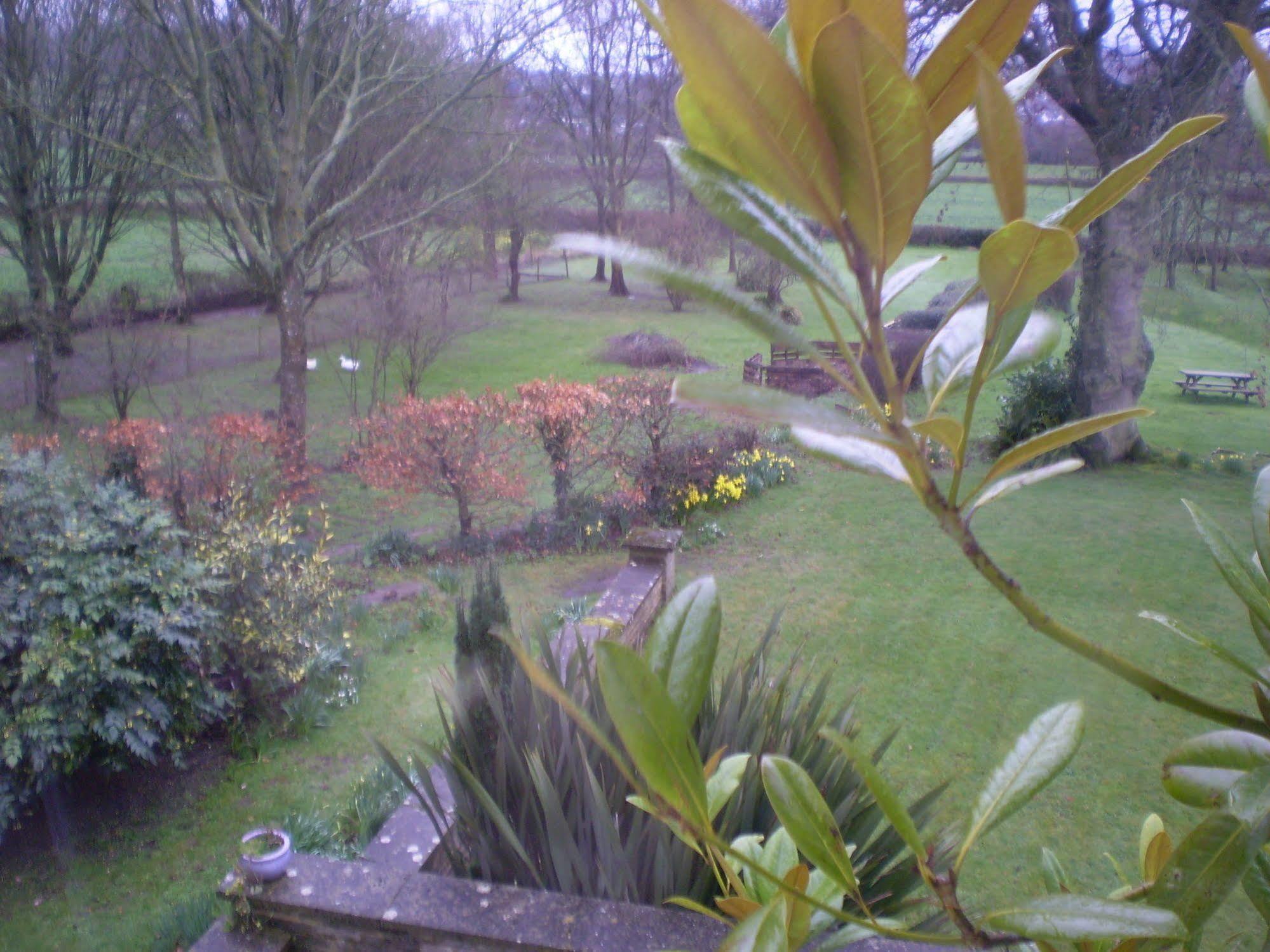 Buckley Farmhouse B & B Sidmouth Eksteriør bilde